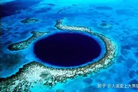 关于谌龙将于8月16日打冲上热搜的信息|热门赛事